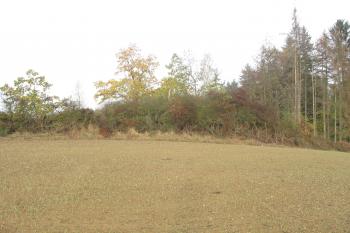 Panoráma hrádku od přístupové plošiny na východě (© Dušan Dohňanský 10/2018)