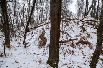 hradiště Stráž (© MiPi  CC BY-SA  4.0  01/2014)