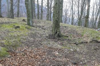  (© Prudký Martin 04/2020)