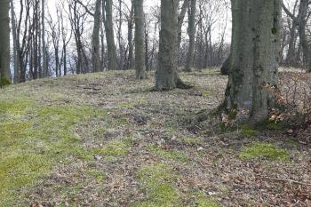  (© Prudký Martin 04/2020)