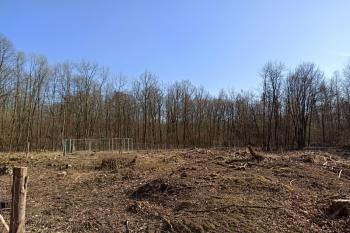 Celkový pohled na jámu Ema (vlevo) a Lucie (vpravo) a místo zaniklého důlního provozu (© Jan P. Štěpánek 04/2020)