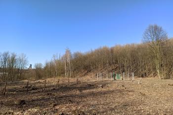 Jáma Ema (vpravo) s těžní ocelovou věží dolu Petr Bezruč (Terezie) v pozadí. (© Jan P. Štěpánek 04/2020)