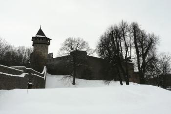  (© Alena Volná, 1/2010)