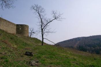  (© Luděk Vláčil, 04/2013)