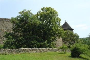 Helfštýn (© Karel Světlík, 01/2010)