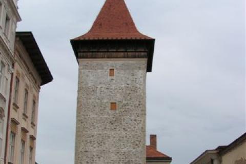 Vlkova věž