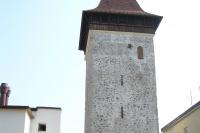 Vlkova věž