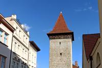 Vlkova věž