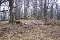 hradiště Obírka