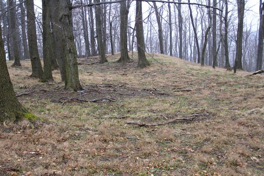hradiště Obírka