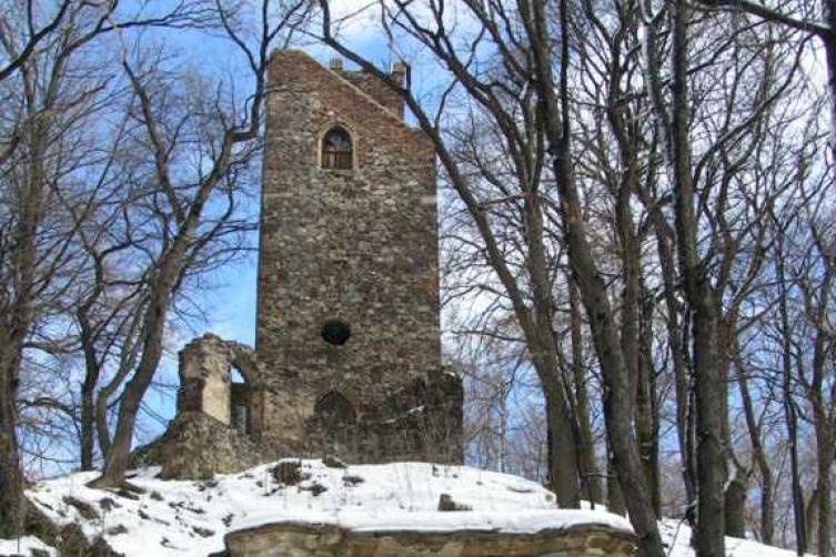 Cibulka