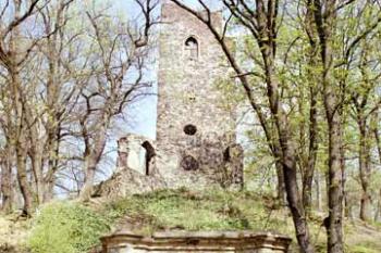  (©2003 Jiří Čížek)