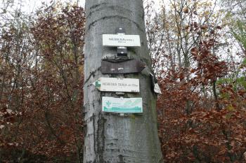 Turistické ukazatele pod hradem Himlštejn (© aleshwarrior, 11/2013)