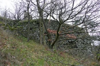 Zřícenina hradu Himlštejn (© aleshwarrior, 11/2013)
