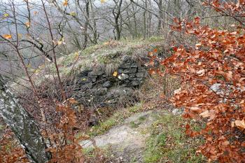 Zřícenina hradu Himlštejn (© aleshwarrior, 11/2013)