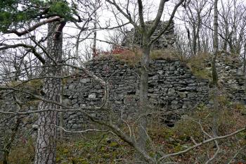Zřícenina hradu Himlštejn (© aleshwarrior, 11/2013)