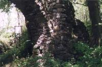 Himlštejn