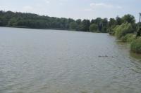 Plenkovice