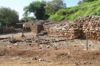 Tel Dan
