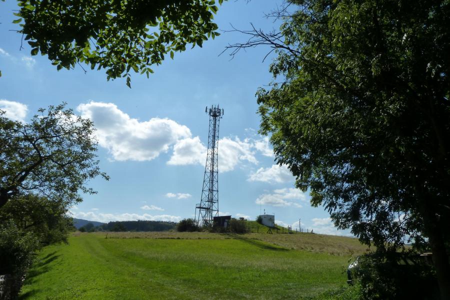 Čestice