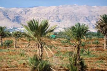  (© Pavel Semple 10/2010)