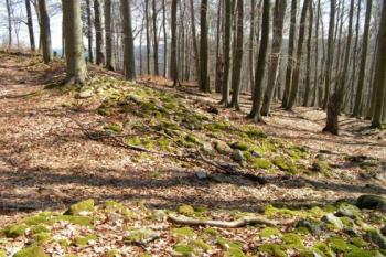 pohled na vnitřní val na jižní straně hradiště (© jihoč.památkový ústav Č.B.)