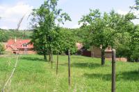 Uhřice