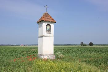  (© Luděk Vláčil 06/2020)