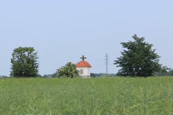  (© Luděk Vláčil 06/2020)