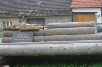 Síň voroplavby na Vltavě