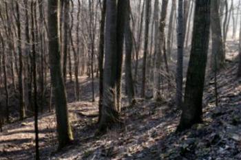 Východní val (© Peprník 16/01/2005)