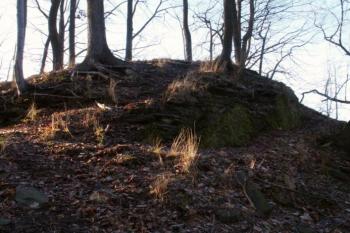 Zbytek zdiva na severní straně hradu (© Peprník 16/01/2005)