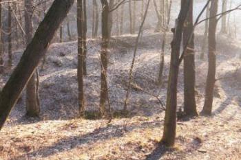 Panorama jižního valu (© Peprník 16/01/2005)