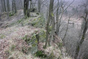 Pohled z hradu (© Luděk Vláčil 03/2016)
