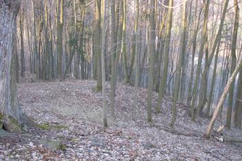 Reliéfní pozůstatek bašty v jv. rohu hradního areálu (© Dušan Dohňanský 04/2020)