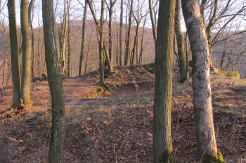 Hradní nádvoří (© Dušan Dohňanský 04/2020)