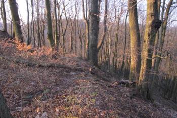 Linie hradeb na východní straně vlastního hradu (© Dušan Dohňanský 04/2020)