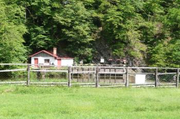 stavidla na počátku známého kanálu ( © Jan P. Štěpánek 05/2009)