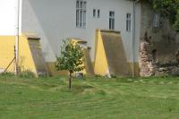 Bohunice