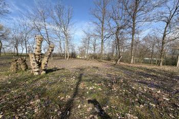  (© Jiří Čížek  03/2026)