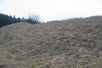 Hradní jádro od sv. (© Dušan Dohňanský 12/2018)