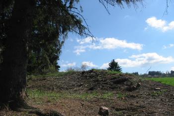 Zbytek valu na sv. (© Dušan Dohňanský 04/2018)