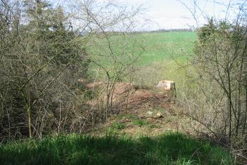 Znatelný příkop s valem na záp. straně (© Dušan Dohňanský 04/2018)