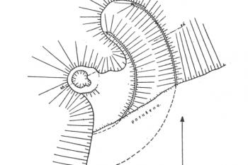 plán hrádku podle J, Bláhy (© M. Plaček: Ilustrovaná encyklopedie moravských hradů, hrádků a tvrzí, Libri, Praha 2001)