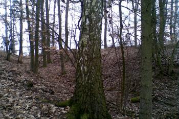 Vnější příkop (© Roman Sirovátka, 04/2013)