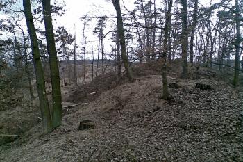 Předhradí ? (© Roman Sirovátka, 04/2013)