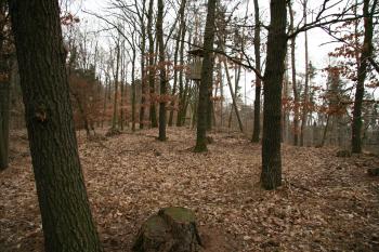 Pohled na plošinu hradu (© Petr Nožička, 2/2008)
