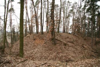 Pohled na čelo hradu přes příkop (© Petr Nožička, 02/2008)