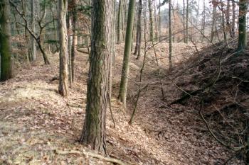  (© Jan Švejkar, 02/2008)