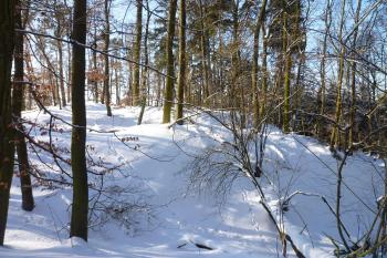 Vražba-opevnění na severovýchodě. (© MICHAL VAŠATA, 01/2010)